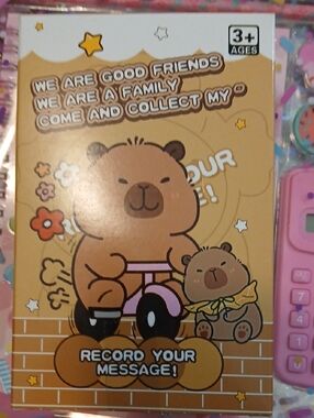 Kids Recording Toy - Brown Bear Voice Recorder